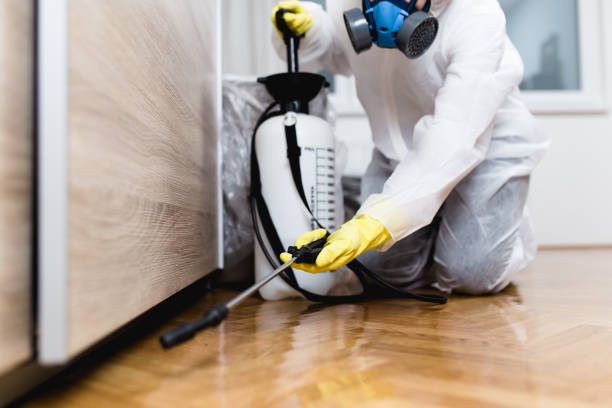 Best Rat Extermination Near Me  in Grottoes, VA
