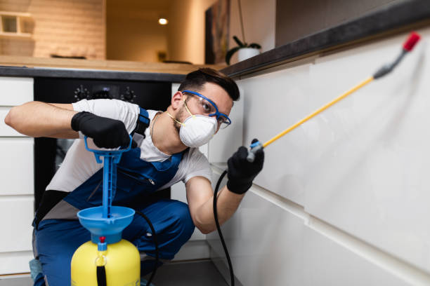 Best Pest Control Near Me  in Grottoes, VA