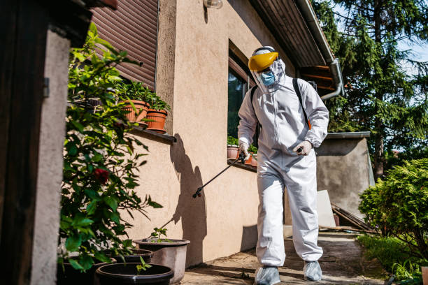 Best Flea Control Services  in Grottoes, VA