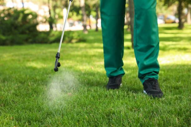 Best Cockroach Control Services  in Grottoes, VA
