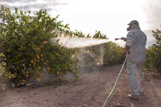 Best Pest Control for Restaurants  in Grottoes, VA