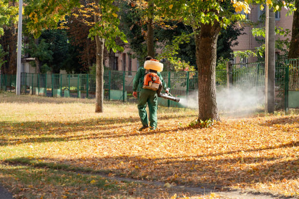 Best Local Pest Control Services  in Grottoes, VA