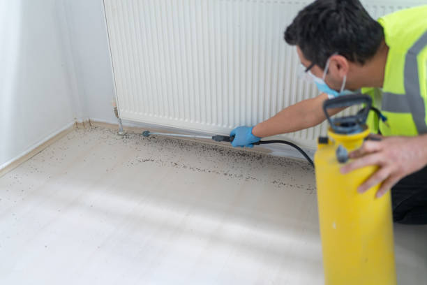 Trusted Grottoes, VA Pest Control Experts